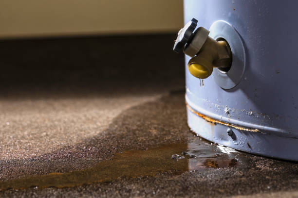 Best Water damage restoration near me  in Beach Park, IL