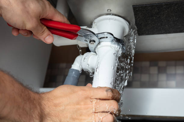 Best Mold removal after water damage  in Beach Park, IL