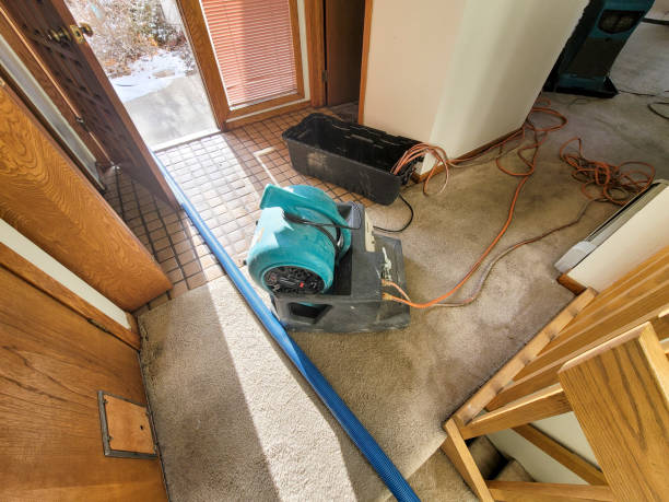  Beach Park, IL Water damage restoration Pros