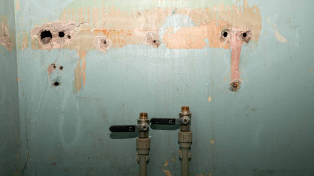 Best Emergency water damage restoration  in Beach Park, IL